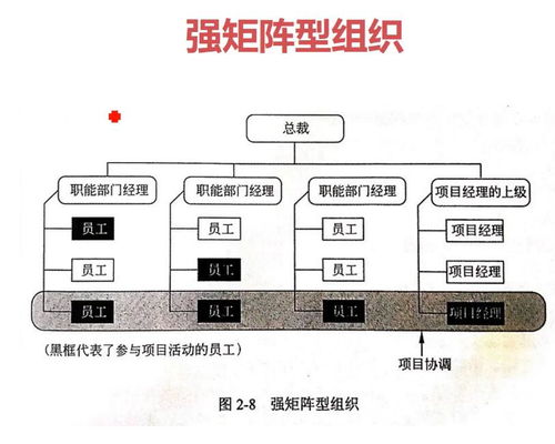 信息系統項目管理基礎 生物質能資源數據庫信息系統