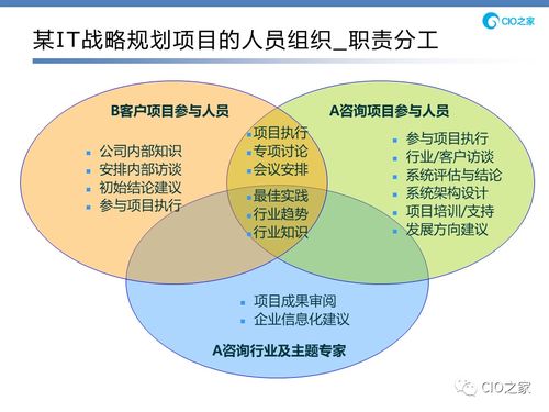 信息化與管理信息系統 超越IT的生物質能資源數據庫系統構建與應用