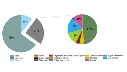 王玉濤課題組GEC研究揭示 蓬勃發(fā)展的非食品生物基經(jīng)濟(jì)正驅(qū)動(dòng)大量全球土地利用排放